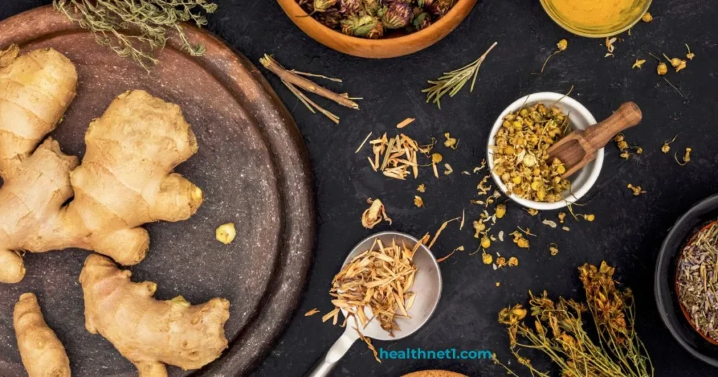 anti fungal herbs