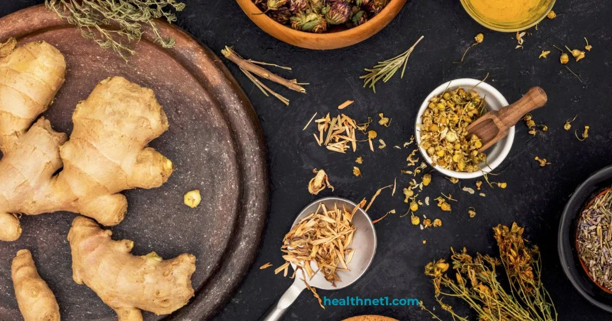 anti fungal herbs